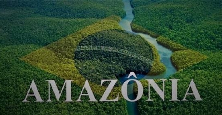 A Diplomacia do Clima: Brasil Lidera Fundo para a Amazônia com Europa e Deixa os EUA em Compasso de Espera. Entenda a Estratégia