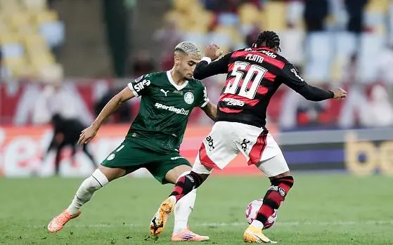 Flamengo e Palmeiras Enfrentam 16 Desfalques por Data Fifa e Suspensões em Jogos Atrasados do Brasileirão