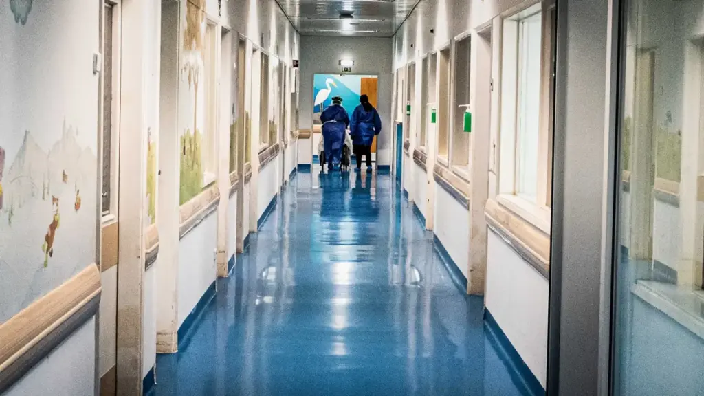 Fraude em Lisboa: Funcionárias Suspensas por Inscreverem 10 Mil Ilegais no SNS Expõem o Wokismo Migratório que Ameaça a Europa