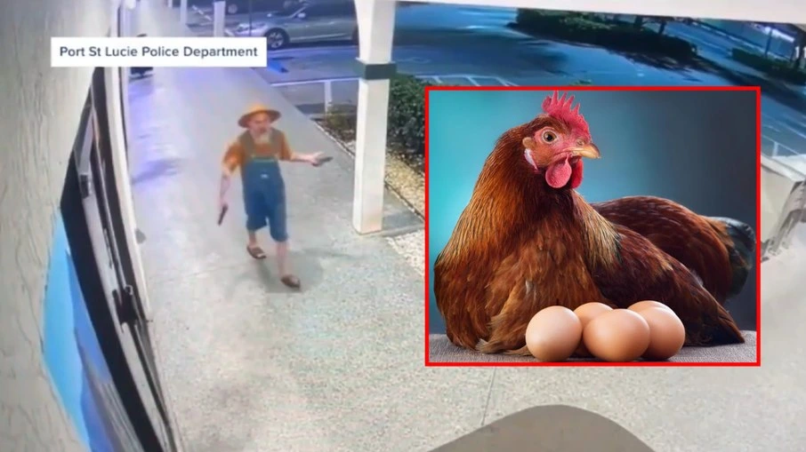 Tiroteio na Flórida Após Discussão Inusitada Sobre Ovos de Galinha